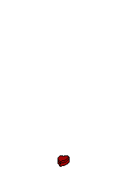 Kurdt